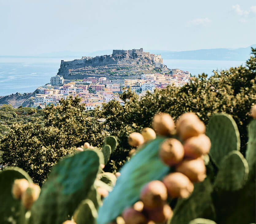 Paesaggio pugliese - Masso Antico