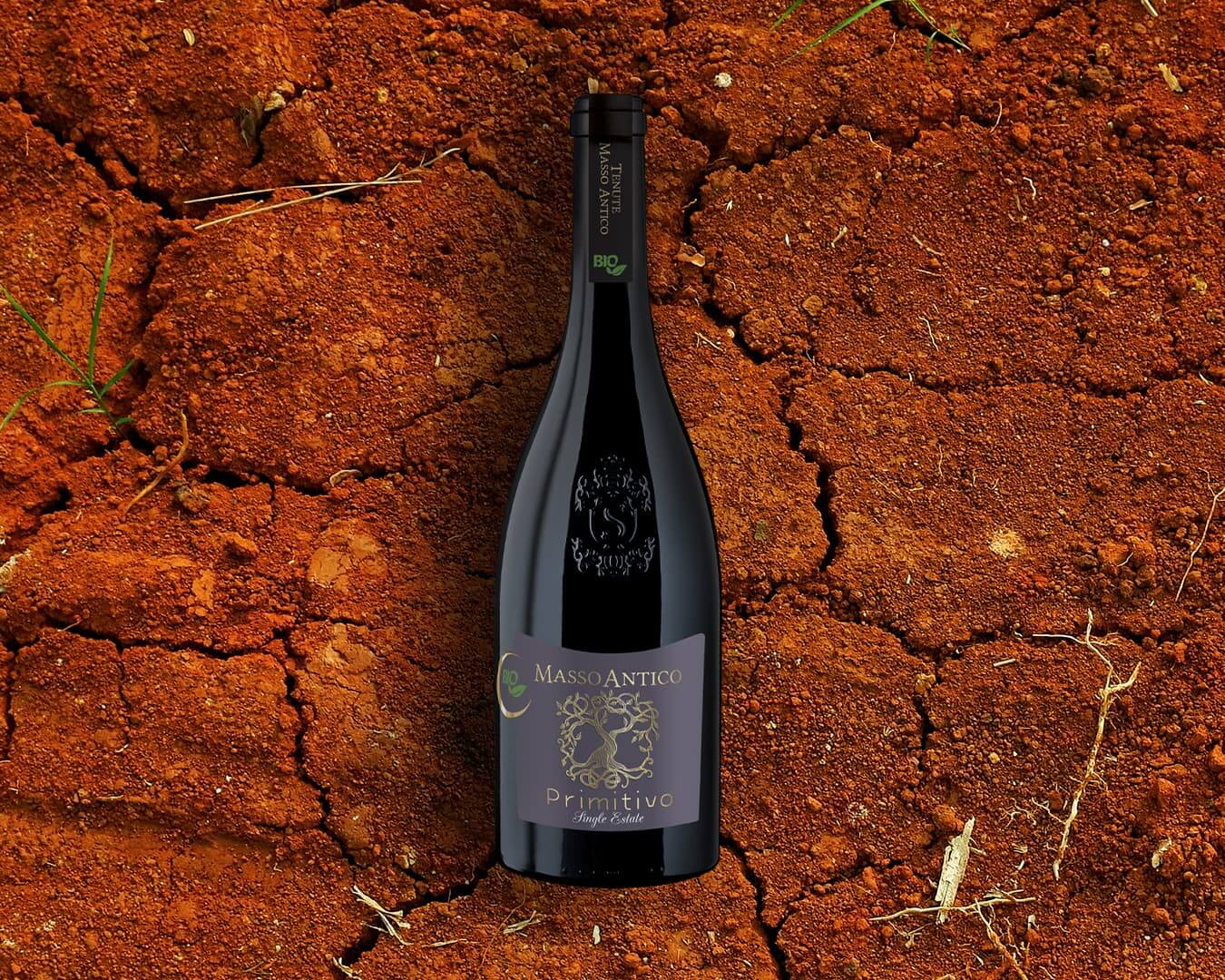 Primitivo BIO - Masso Antico